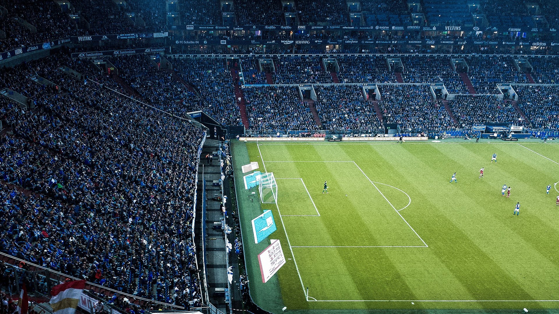 世界青少年武道锦标赛再掀运动狂潮,世界武道大赛是什么