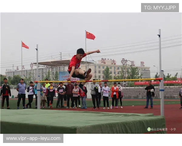 “滚球竞技：成都三叉湖赛场带来全新体育体验”