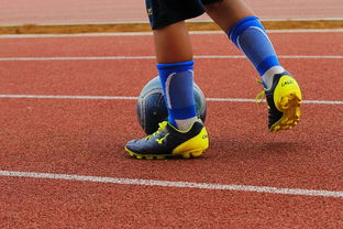 乐鱼体育app官方入口-中国青少年篮球运动员身体机能发展研究，我国篮球青少年运动发展现状